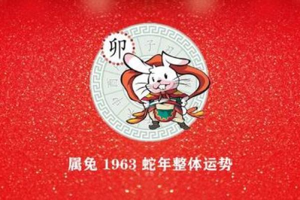 属兔1963年出生者的命运分析与生活建议 属兔1963年出生者的命运分析与生活建议