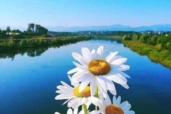 1968年出生的人生运程与命理解析：探寻命运的奥秘与人生的意义