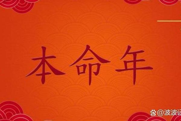 解密小孩马命：如何利用命理选择最适合的品牌