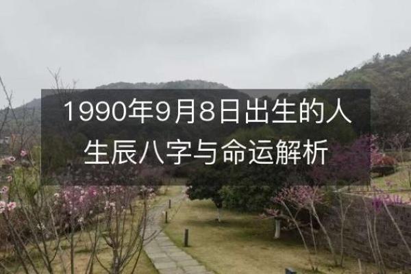 2002庚午年的命理解析与人生启示