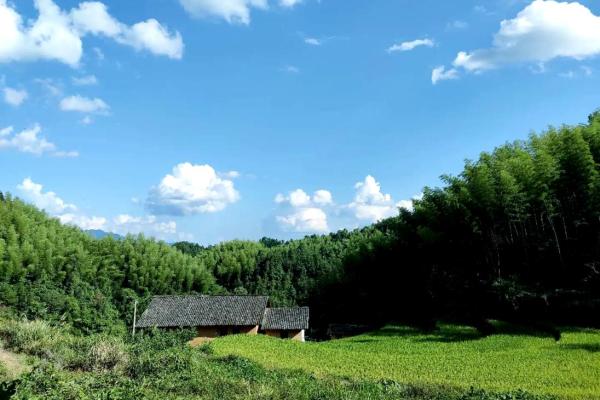 20040825的命运解析：你的一生从这里开始的神秘力量