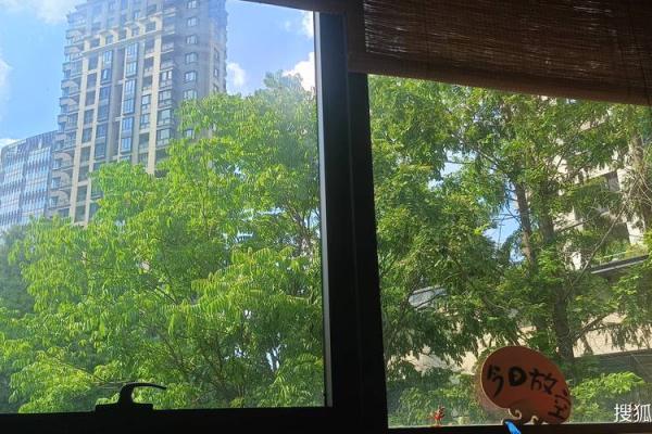 2017命理解析：如何找到人生中的缺失元素，助你更好发展！