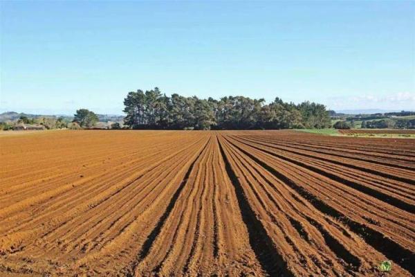 2023年兔宝宝命理分析：解密兔年孩子的命缺及其影响