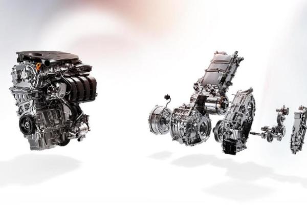 探秘“以命搏命”的背后,究竟是什么驱动着人们的极限挑战? 探秘“以命搏命”的背后,究竟是什么驱动着人们的极限挑战?