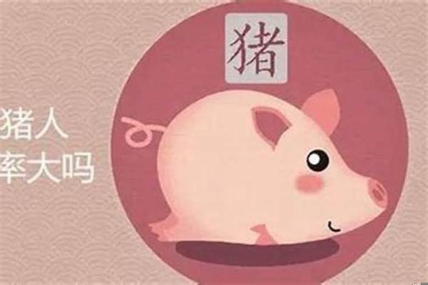 2008年兔年命运解析：兔年的魅力与挑战