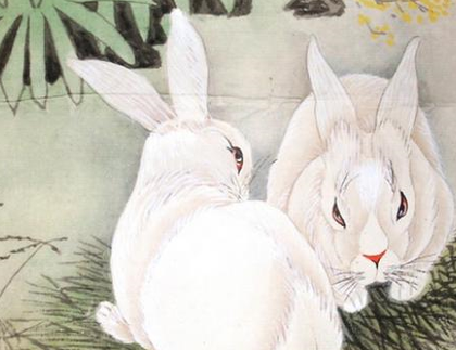 1987年鸡年出生的人：命运与性格的精彩探索