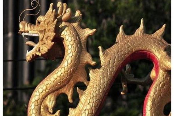 1988年出生的龙：命运与机会的双重交响曲