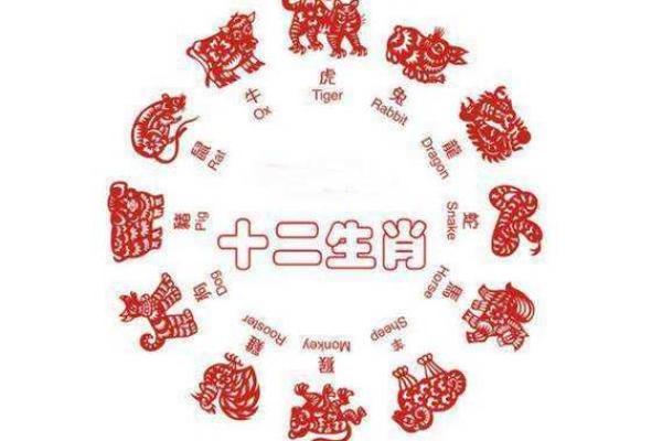 74虚岁属什么？探讨74岁人生命格与运势的奥秘