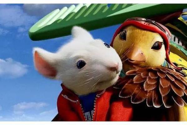 探索伤官女命格：她们的智慧与爱情之旅