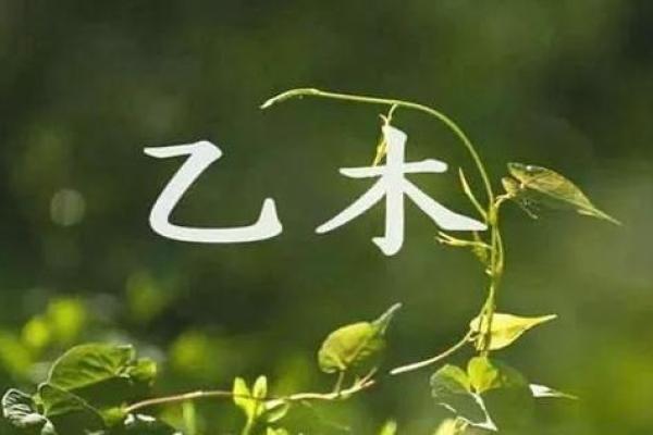 探寻1993年5月3日出生者的命运与性格特征 探寻1993年5月3日出生者的命运与性格特征