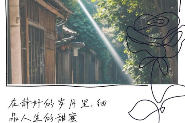 根据什么命什么字的成语，探秘人生的智慧与奥秘