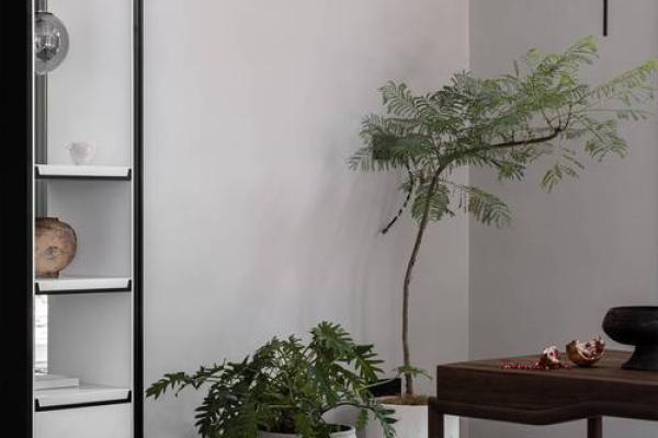 土命方位：在不同时空中寻找内心的宁静与力量