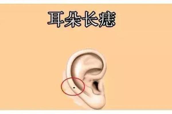 1990庚午年，属于什么命？揭示命运的秘密！