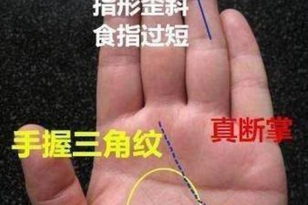 手相解密：揭示哪些手相特征的人最容易贫穷