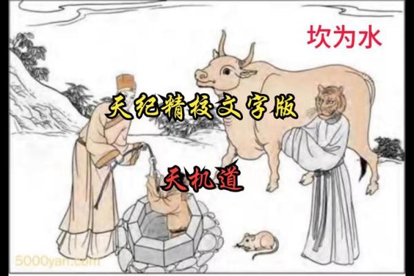 水命人最适合学习的技术与职业发展之道 水命人最适合学习的技术与职业发展之道