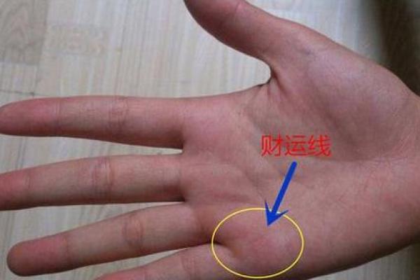 水命女性与财富的完美结合：解密命理中的财运搭配