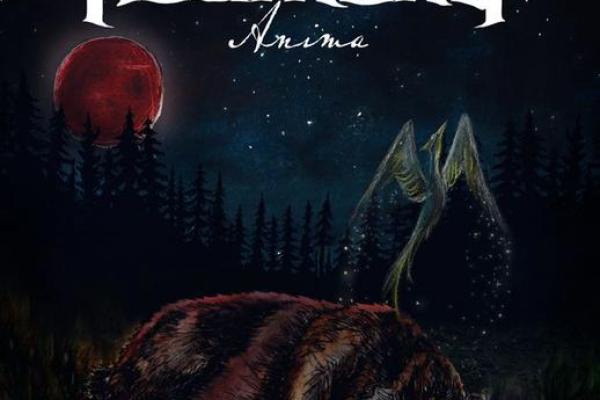 丑牛1998:独特命运与生活哲学的探索之旅 丑牛1998:独特命运与生活哲学的探索之旅