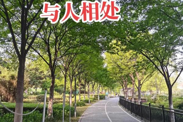 什么命好相处？男人们与水命姑娘的和谐相处之道