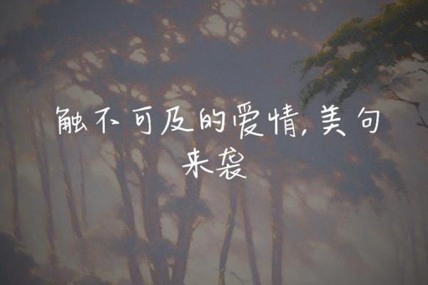 天边的梦想：追逐人生的意义与价值