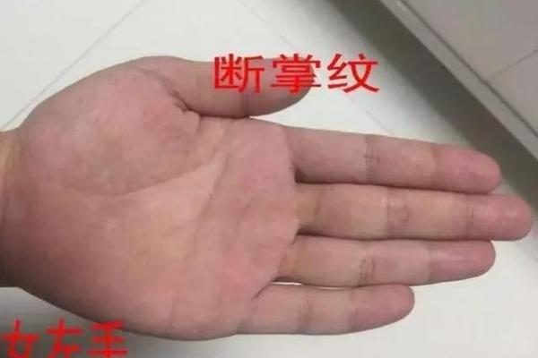 双手断掌命理解析：掌握命运的秘密与未来的可能性