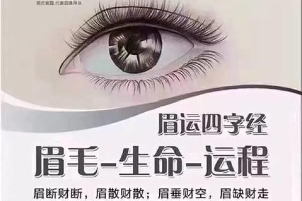 命名的艺术:名字如何决定我们的命运与运势 命名的艺术:名字如何决定我们的命运与运势