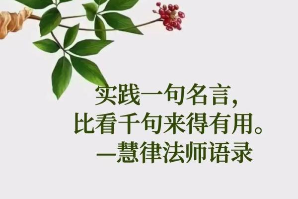 探讨1944年命理与生活中的智慧与启示 探讨1944年命理与生活中的智慧与启示