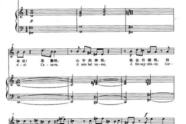 命名的艺术:名字如何决定我们的命运与运势 命名的艺术:名字如何决定我们的命运与运势