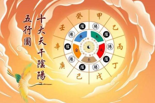 1956年出生的生肖与命理解析：揭示你的命运之路