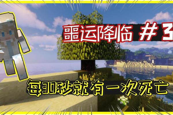 探索“King什么瓜”的趣味世界：从神秘到爆笑的网络热词揭秘