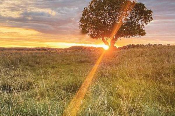 探讨1944年命理与生活中的智慧与启示 探讨1944年命理与生活中的智慧与启示