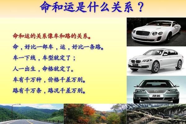 19851205出生的人的命运解析与人生启示