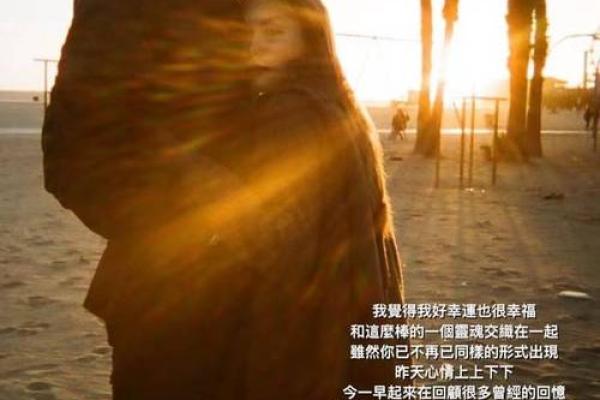 探秘仙命：命运与灵魂的奇妙交织