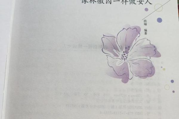 19841107的命格解析：如何解读你的生命旅程与性格特征