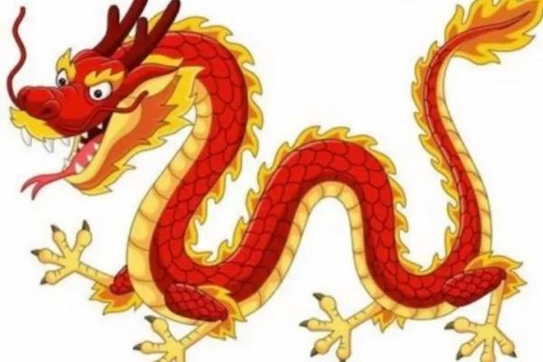 1988年出生者的命运与性格分析：揭示隐藏的潜力与发展方向