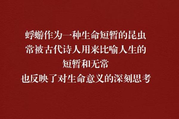 命名风云:从成语看人生的起伏与无常 命名风云:从成语看人生的起伏与无常