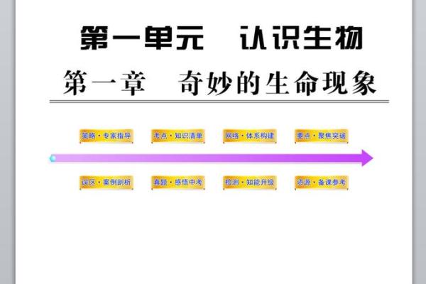 1998年与哪些命运之书相遇：解读生命的奇妙联结