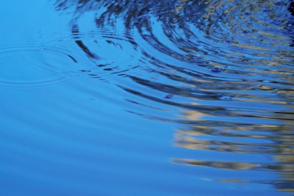 1965年出生的人:命运与人生的奇妙旅程 1965年出生的人:命运与人生的奇妙旅程