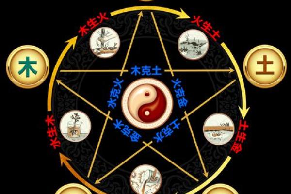 木火相生,宠物选择与命理相辅相成 木火相生,宠物选择与命理相辅相成