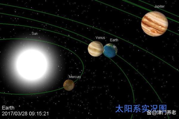 探索1959年的命运：揭示个人与命理的奇妙联结