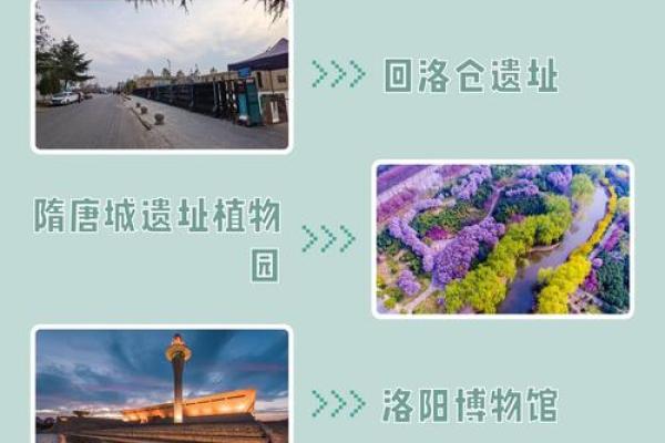 探寻命运的奥秘：机关之命的深层解读