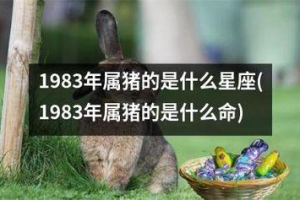 1994年属猪的命运与性格特征解析