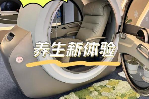 20295年：探索未来命运与选择的奇妙之旅