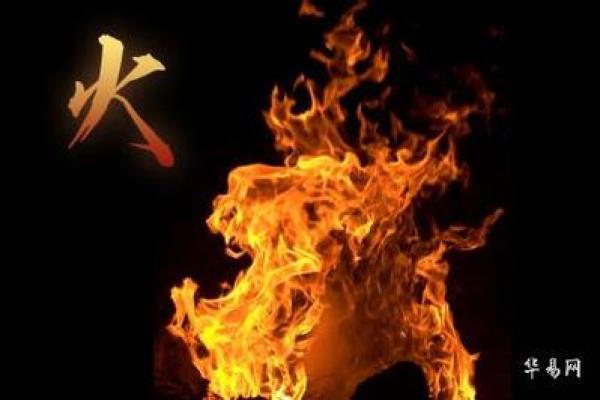 2005年出生的人:土命与火命的命运交织 2005年出生的人:土命与火命的命运交织