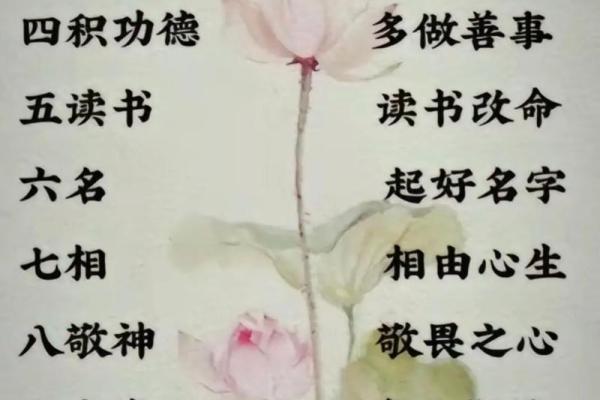 一命与五命的区别解析：命理学中的深刻内涵与应用