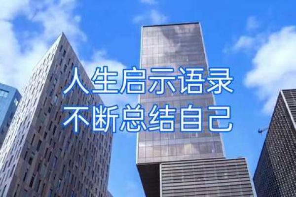 命主恶命的深邃解读与人生启示