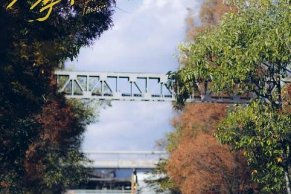 探索3013年命运的奥秘:未来与命运的交织如何改变我们生活 探索3013年命运的奥秘:未来与命运的交织如何改变我们生活