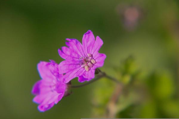 逆向命轨：探索命运的奇妙旅程与自我觉醒