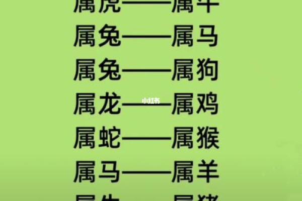 属鸡腊月二十的命理解析：探秘人生轨迹与命运之路