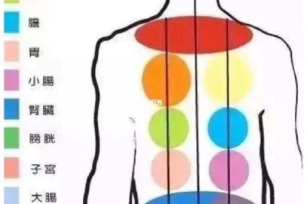 纯阴女命与阳命结合：命理中的完美搭配探秘