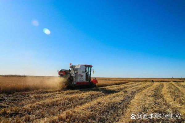 命与运：探索人生背后的选择与机遇